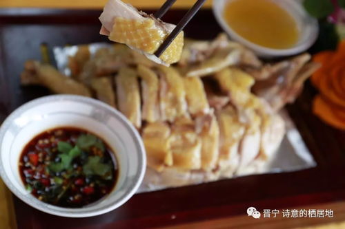 美食響當當 伊品清真土涼雞